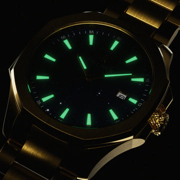 Lume Visibility Lume Visibility